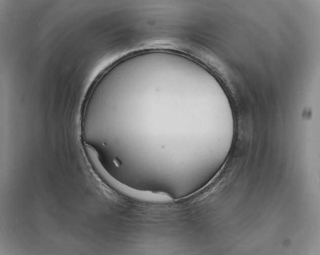 X0000094061328200711091119
