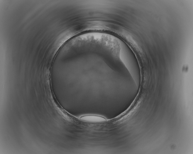 X0000094061329200711091119