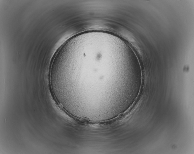 X0000094061330200711091119