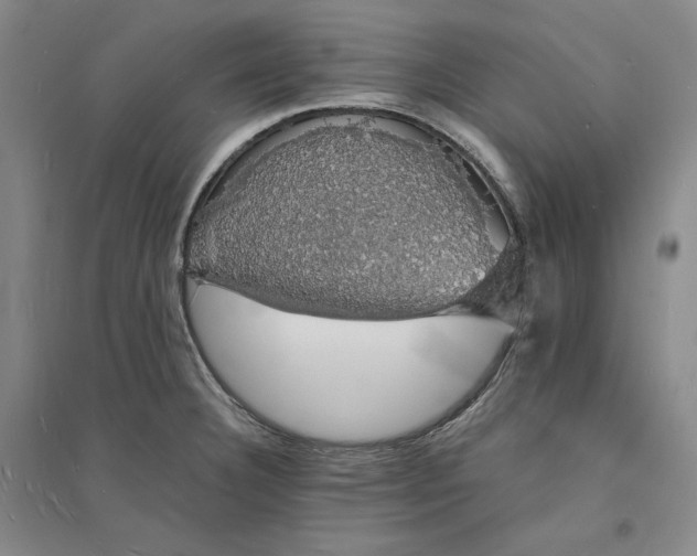 X0000094061332200711091119