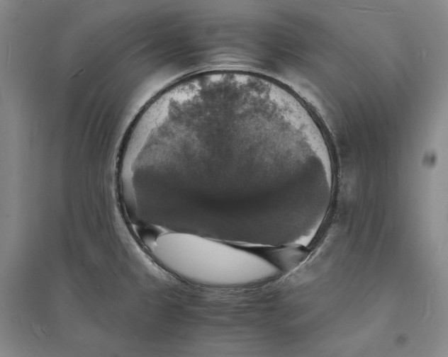 X0000094061333200711091119