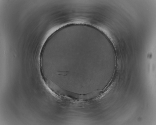 X0000094061335200711091119