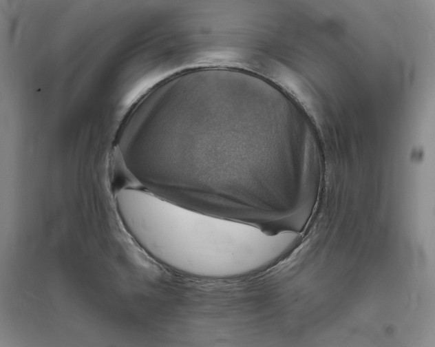 X0000094061336200711091119