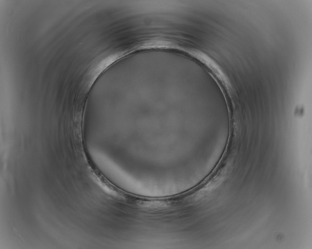X0000094061337200711091120