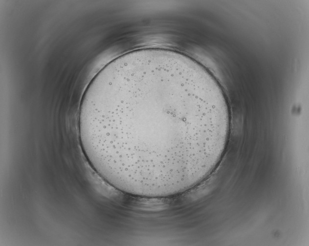 X0000094061338200711091120