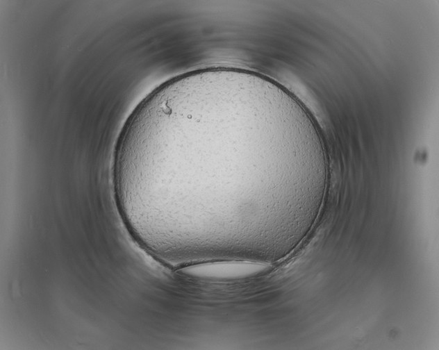 X0000094061339200711091120