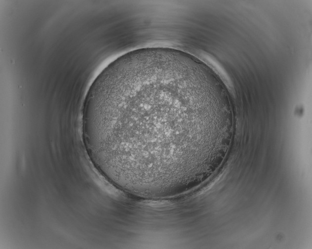 X0000094061340200711091120