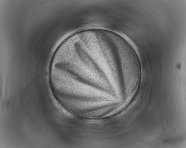 X0000094061341200711091120