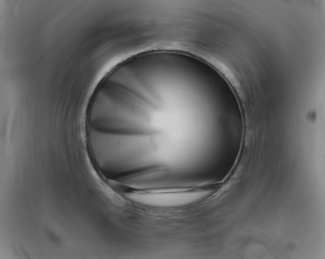 X0000094061342200711091120
