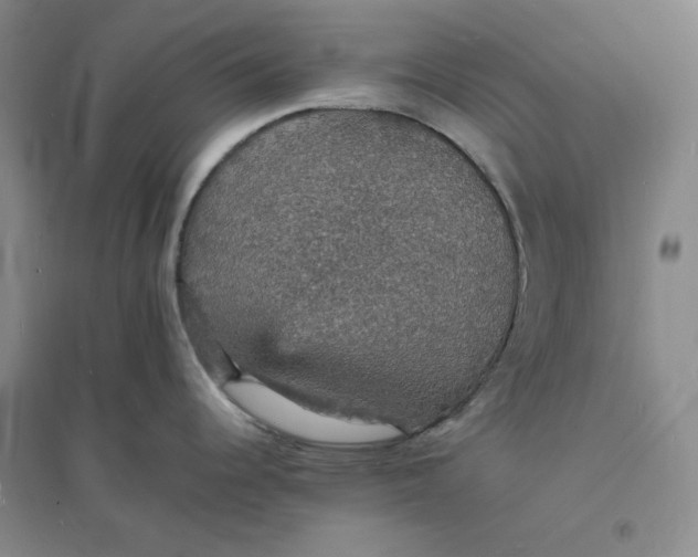 X0000094061344200711091120