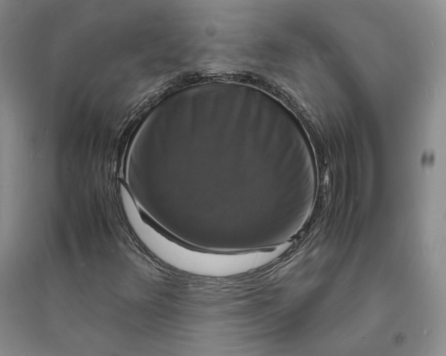 X0000094061348200711091119