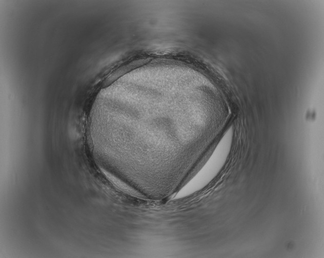 X0000094061349200711091119