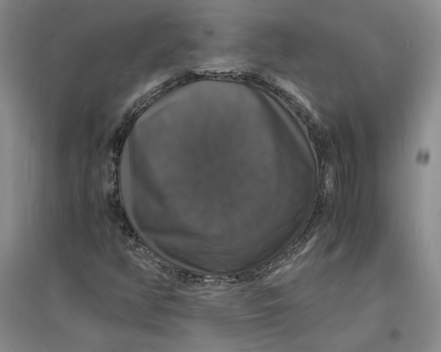X0000094061350200711091119