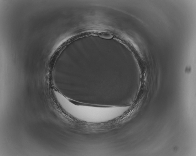 X0000094061352200711091119
