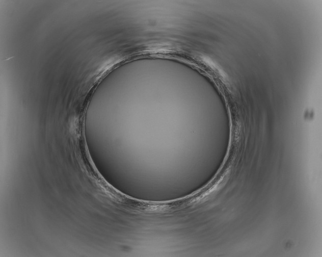 X0000094061353200711091119