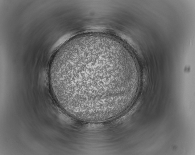 X0000094061354200711091119