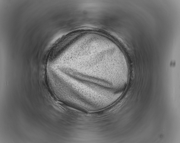 X0000094061355200711091119