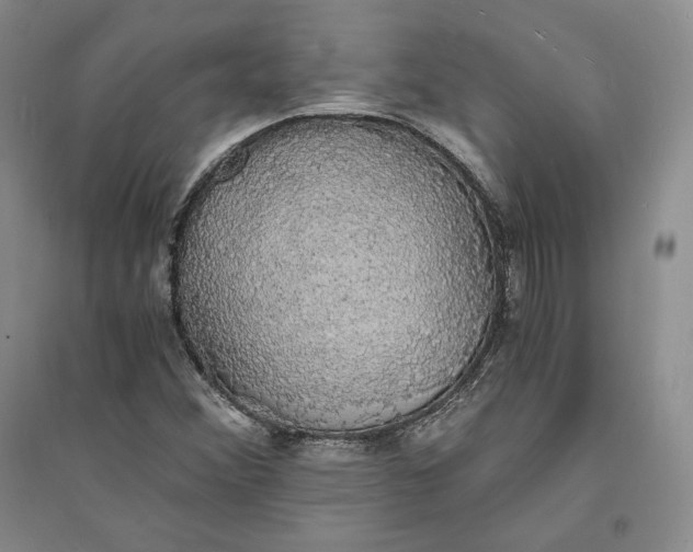 X0000094061356200711091119