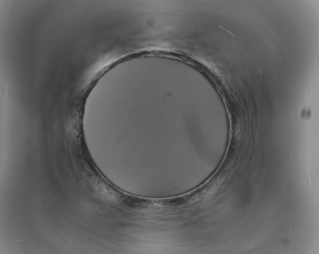X0000094061359200711091119