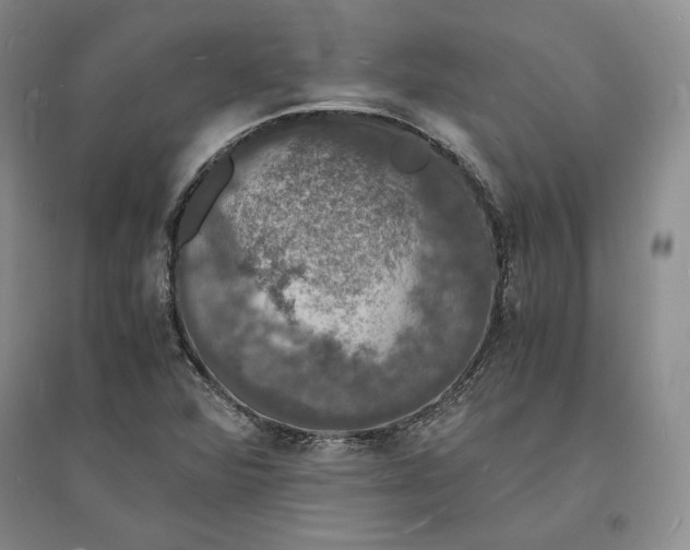 X0000094061360200711091119