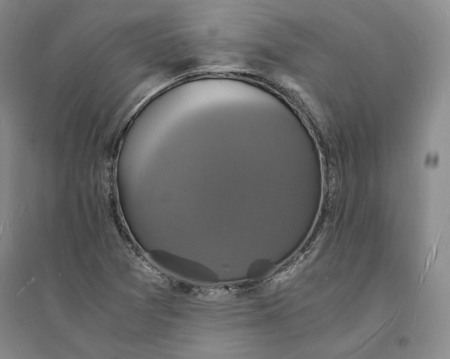 X0000094061361200711091119