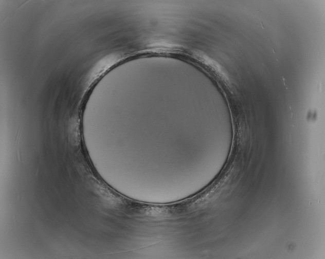 X0000094061362200711091119