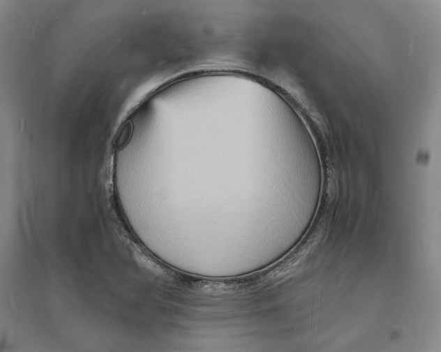 X0000094061366200711091118