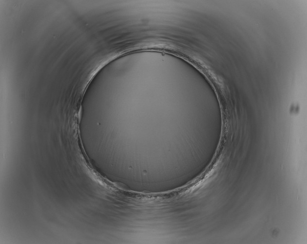 X0000094061369200711091118