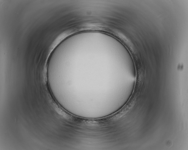 X0000094061370200711091118