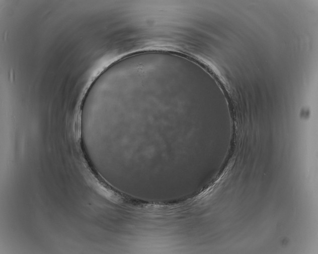 X0000094061371200711091118