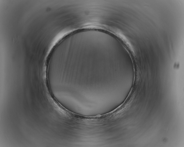 X0000094061376200711091118
