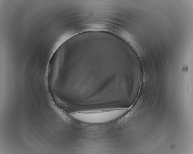 X0000094061378200711091118