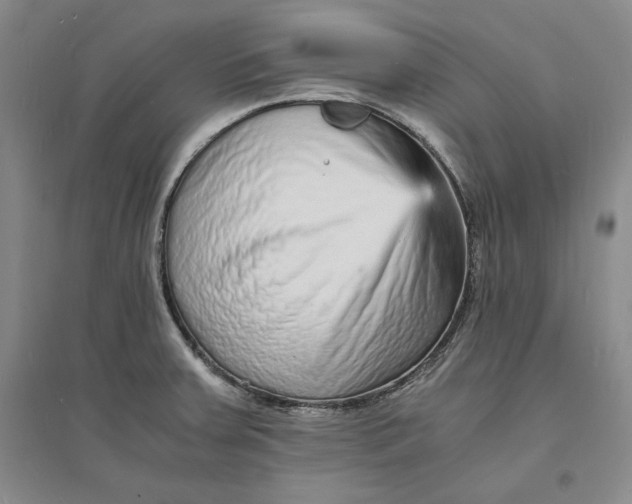 X0000094061379200711091118