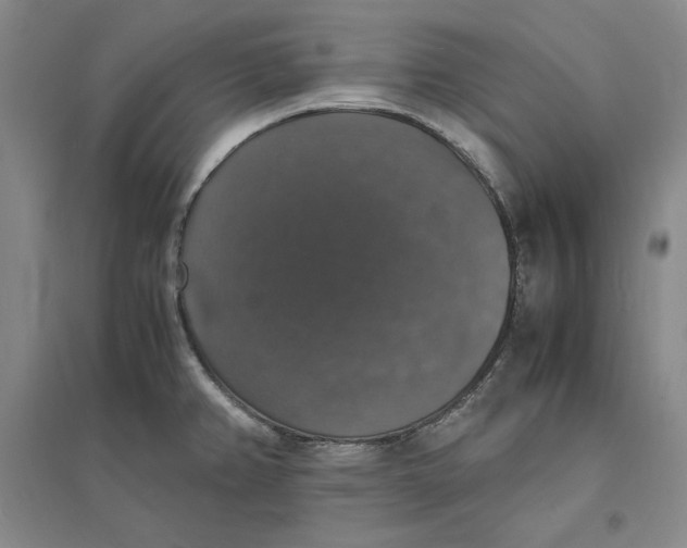 X0000094061382200711091118