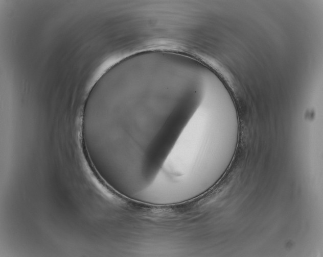 X0000094061383200711091118