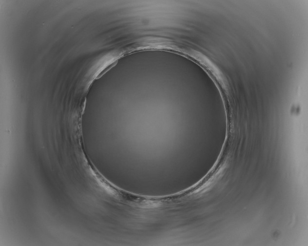 X0000094061385200711091118