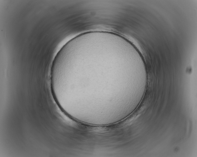 X0000094061387200711091118