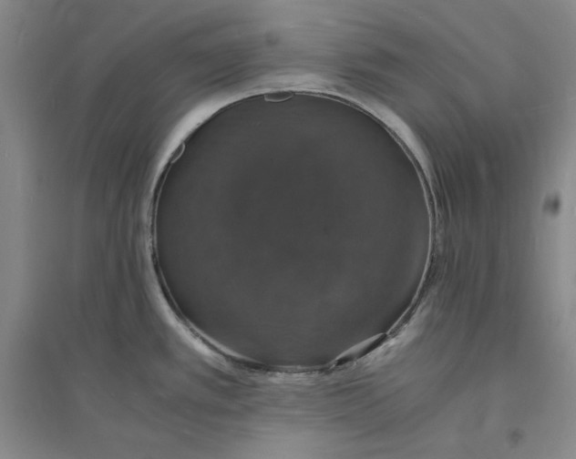 X0000094061389200711091118
