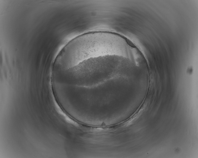 X0000094061390200711091118