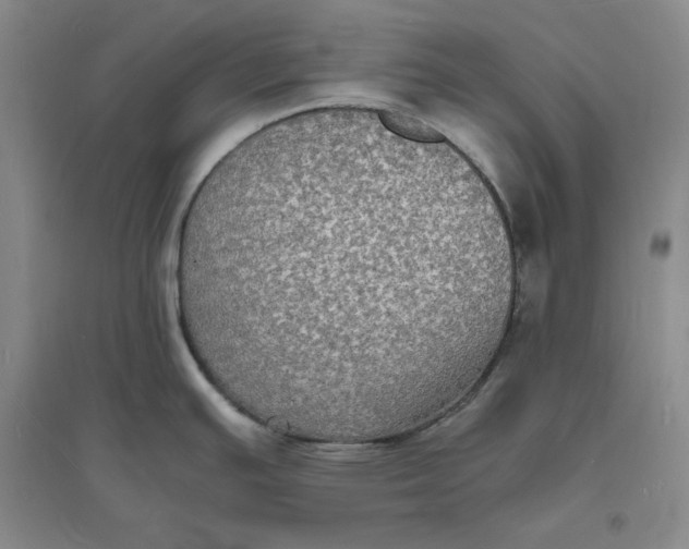 X0000094061391200711091118
