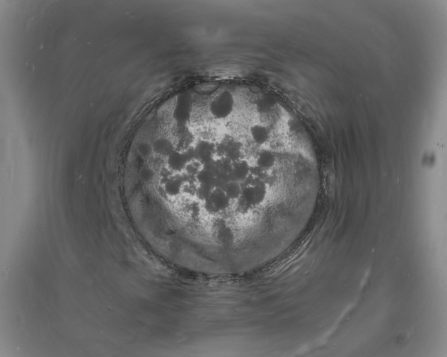 X0000094061393200711091117