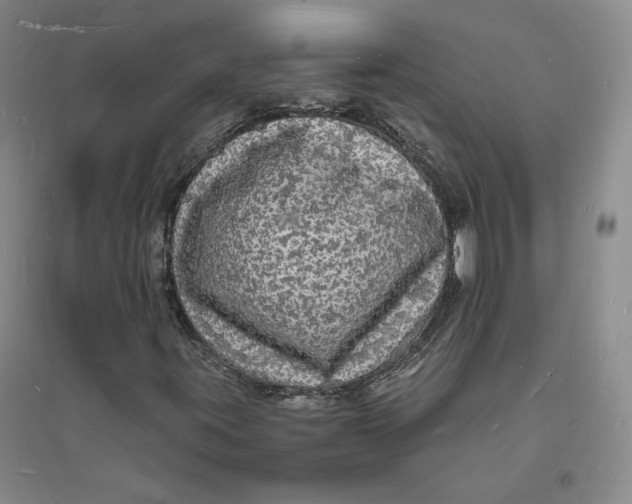X0000094061395200711091117
