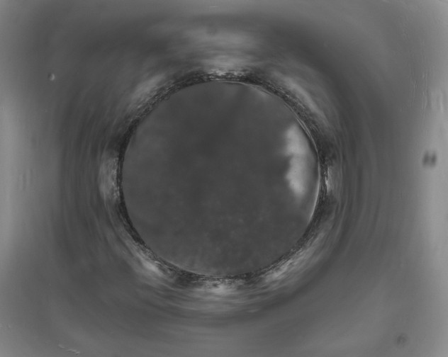 X0000094061396200711091117