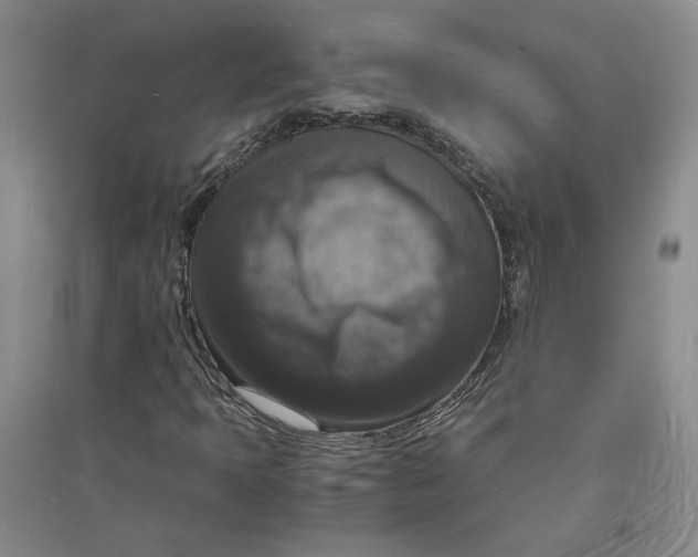 X0000094061397200711091118