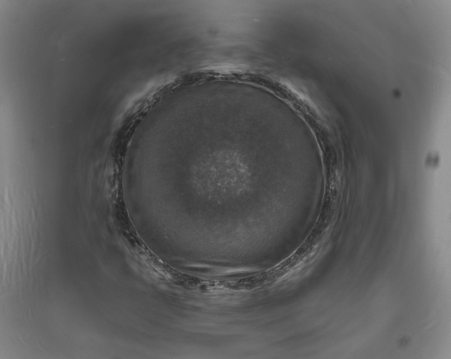X0000094061398200711091118