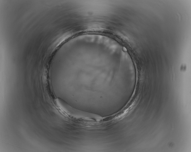 X0000094061401200711091118
