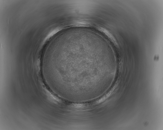 X0000094061402200711091118