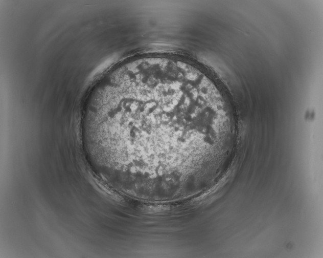 X0000094061403200711091118
