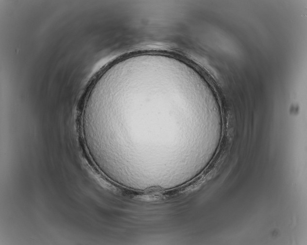 X0000094061404200711091118