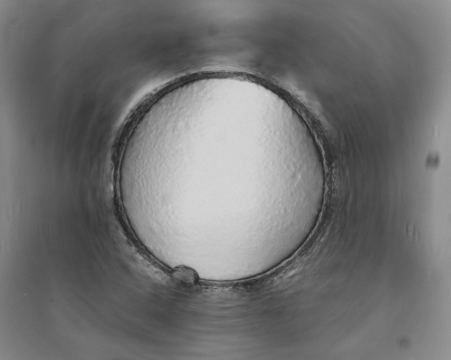 X0000094061408200711091118